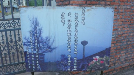 短評：災區需要“凝重而安靜”地紀念地震一周年